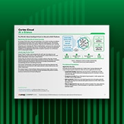 Cortex Cloud in sintesi