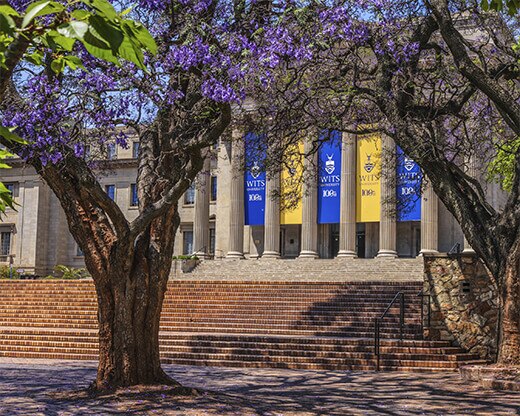 Foto Wits University