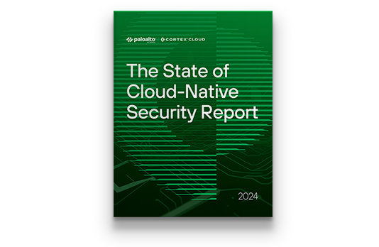 Report Stato della sicurezza nativa del cloud 2024