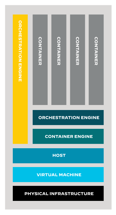 Anatomia dell'ambiente container ospitato
