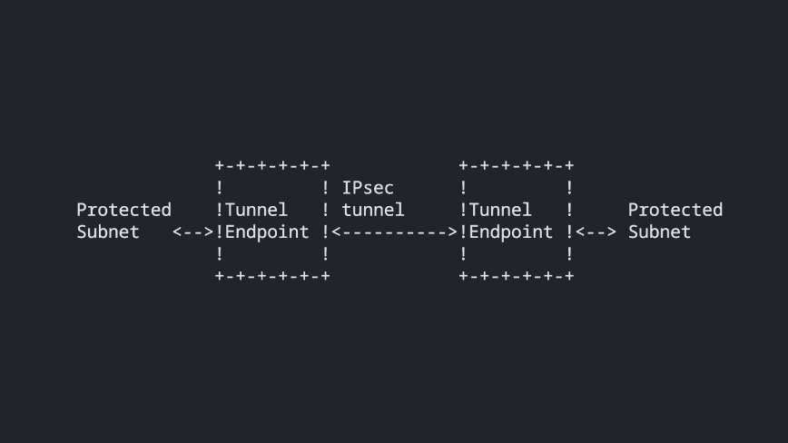 Arte ASCII di un tunnel IPsec con due endpoint che collegano sottoreti protette.