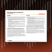 Panoramica di NGTS in breve