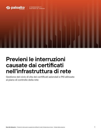 SINTESI DELLA SOLUZIONE